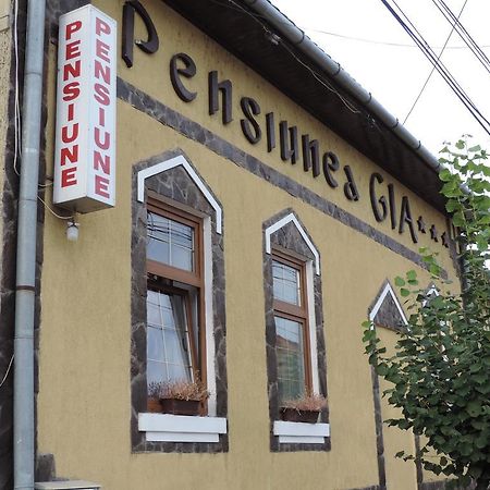 Pensiunea Gia Sighişoara Exterior foto